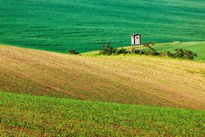 Moravian rolling landscape with hunting tower shack photo