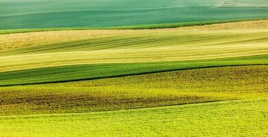 Abstract pattern of rolling fields photo