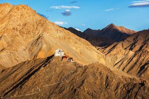 namgyal tsemo gompa y fuerte. ladakh, India foto