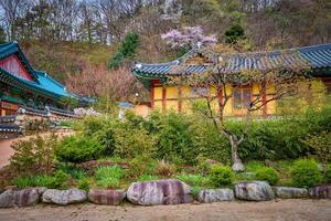 sinheungsa templo en seoraksan nacional parque, seoraksan, sur Corea foto
