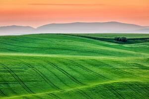 Moravia rolling landscape on sunrise photo