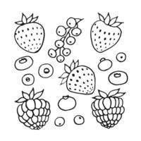 Set of berries. Hand drawn vector illustration in outline style.