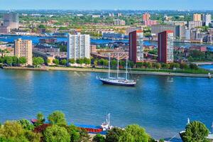 View of Rotterdam city and Nieuwe Maas river photo