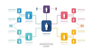 Infographic template for organization chart with business avatar icons. vector infographic for business.