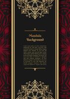 Luxury background with golden mandala ornament vector