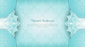 Vintage background, with mandala ornaments vector