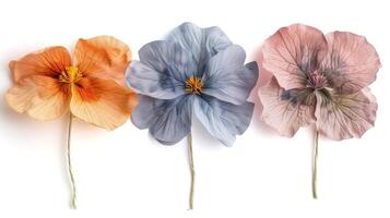 AI generated Spring Petals Trio, Pastel Hues Layout photo