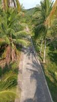 scooter montando en un tropical la carretera. video