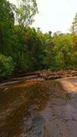 fpv av kvinna praxis yoga förbi de flod i tropisk regnskog, thailand video