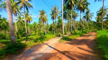kvinna kör längs en naturskön väg med handflatan träd på tropisk ö, thailand video
