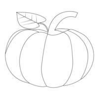 Ripe pumpkin continuous line drawing vector