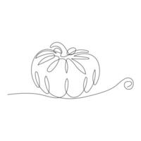 Ripe pumpkin continuous line drawing vector