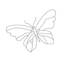 Continuous one line butterfly flying single line outline art drawing illustration vector