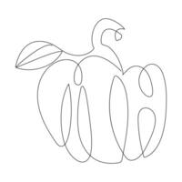 Ripe pumpkin continuous line drawing vector