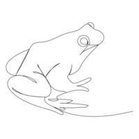 Vector frog line art drawing illustration