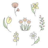 Spring flowers set. Vector illustration. Isolated on white background