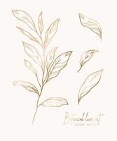 Botanical elegant golden line illustration of a leaves branch for wedding invitation and cards, logo design, web, social media and poster, template, advertisement, beauty and cosmetic industry. vector