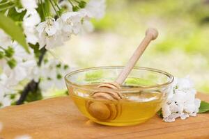 Honey Dipper and Bowl with Blossoms photo