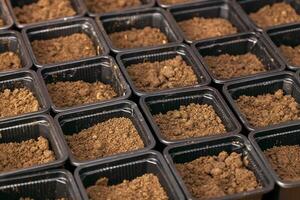Plastic pots with fertile soil for planting seeds and seedlings photo