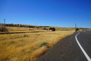 Windmills on the range in eastern Oregon photo