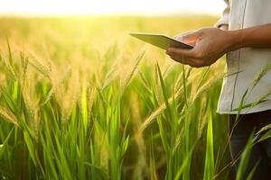 AI generated Farmer with a tablet computer in front of a sunset agricultural landscape. Neural network AI generated photo