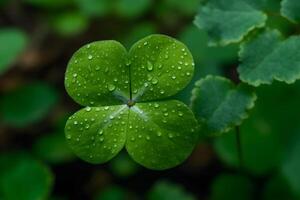 AI generated Four-leaf clover with drops. Neural network AI generated photo