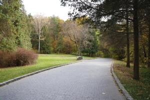 hermosa naturaleza otoño paisaje. paisaje ver en otoño ciudad parque con dorado amarillo follaje en nublado día foto