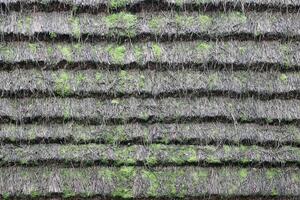 Huge thatched roof of traditional ukrainian house. Straw roof with dried grass photo