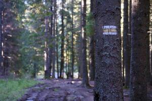 Walking trail background. Yellow and white forest path on brown tree trunk. Guide sign made with paint on hiking trail. Symbol points right way to go photo