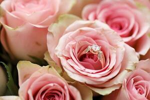 Gold diamond engagement ring in beautiful pink rose flower among big amount of roses in big bouquet close up photo