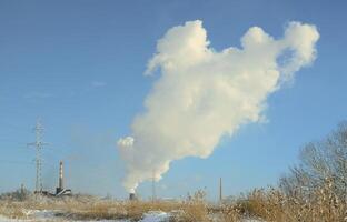 The industrial plant is located behind the swampy terrain, covered with snow. Large field of yellow bulrushes photo