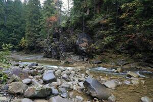 un brillante azul río fluido mediante bosque como el Dom comienza a conjunto en un oculto parque a lo largo el escénico conducir en hoverla montañas zona foto