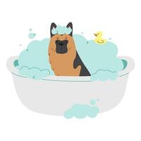 Pet Grooming Single 7 cute on a white background, illustration. vector