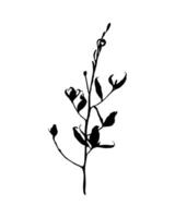 Herbal imprint. Black silhouette. Vector botanical design element.