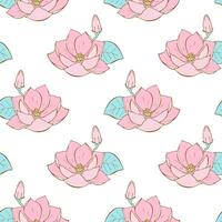 Lotus pattern with hand drawn pink flower. Water lily on a white background. Doodle drawing lotus lily for packaging, background, backdrop, wallpaper. vector