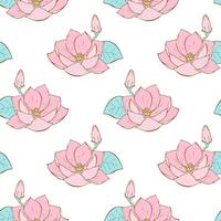 Lotus pattern with hand drawn pink flower. Water lily on a white background. Doodle drawing lotus lily for packaging, background, backdrop, wallpaper. vector