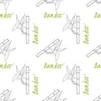 Pattern of Bamboo sticks and leaves on white background. vector