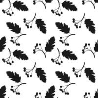 Pattern Rowan branch with berries and leaf imprint, silhouette in black,white background. vector