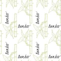 Pattern of Bamboo sticks and leaves on white background. vector