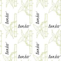 Pattern of Bamboo sticks and leaves on white background. vector