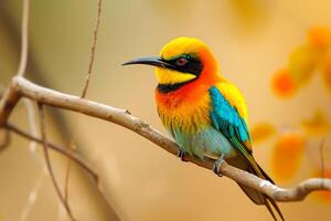 ai generado aves de el mundo, mundo fauna silvestre día foto