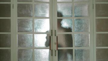 silhouet van een persoon staand achter berijpt glas deuren, creëren een zin van mysterie en privacy. video