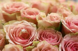 oro diamante compromiso anillo en hermosa rosado Rosa flor entre grande cantidad de rosas en grande ramo de flores cerca arriba foto