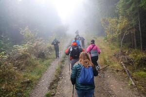 montañas de los cárpatos, ucrania - 8 de octubre de 2022 monte hoverla. cárpatos en ucrania en otoño foto