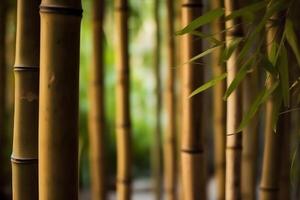 AI generated bamboo texture background for interior or exterior design. Neural network AI generated photo