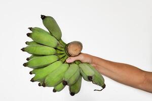 Fresh Green Bananas in Hand Isolated photo