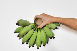 Fresh Green Bananas in Hand, Copyspace photo