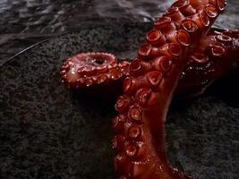 Tentacles of boiled octopus on black plate background. Gourmet, restaurant dish. photo