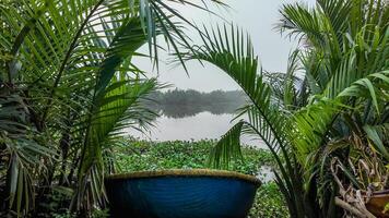 Tropical River Serenity with Blue Boat photo