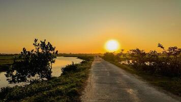 Tranquil Sunset Roadside Silhouette with River photo